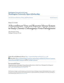 A Recombinant Virus and Reporter Mouse System to Study Chronic Chikungunya Virus Pathogenesis Alissa Roxanne Young Washington University in St
