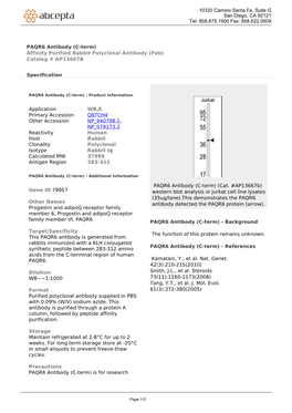 PAQR6 Antibody (C-Term) Affinity Purified Rabbit Polyclonal Antibody (Pab) Catalog # AP13667B