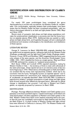 Identification and Distribution of Clark's Grebe