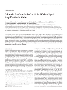 G-Protein ␤␥-Complex Is Crucial for Efficient Signal Amplification in Vision