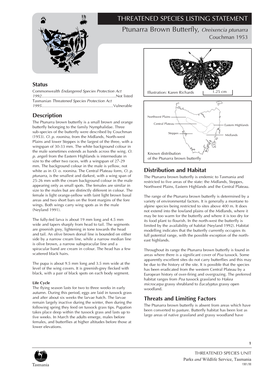 LISTING STATEMENT Ptunarra Brown Butterfly, Oreixencia Ptunarra Couchman 1953