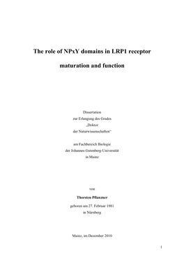 The Role of Npxy Domains in LRP1 Receptor Maturation and Function