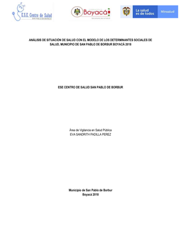 Análisis De Situación De Salud Con El Modelo De Los Determinantes Sociales De Salud, Municipio De San Pablo De Borbur Boyacá 2018