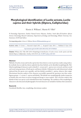 ﻿Morphological Identification of Lucilia Sericata, Lucilia Cuprina and Their