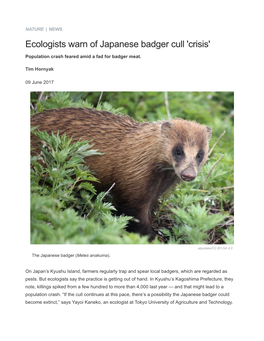 Ecologists Warn of Japanese Badger Cull 'Crisis' : Nature News & Comment