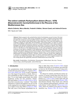 (Elasmobranchii: Carcharhiniformes) in the Pliocene of the Mediterranean Sea