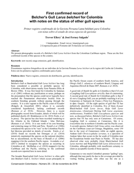 First Confirmed Record of Belcher's Gull Larus Belcheri for Colombia with Notes on the Status of Other Gull Species