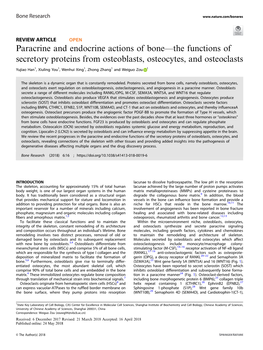 Paracrine and Endocrine Actions of Boneâ€”The Functions of Secretory