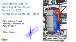 Developments in the Modeling & Simulation Program at EDF
