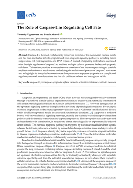 The Role of Caspase-2 in Regulating Cell Fate