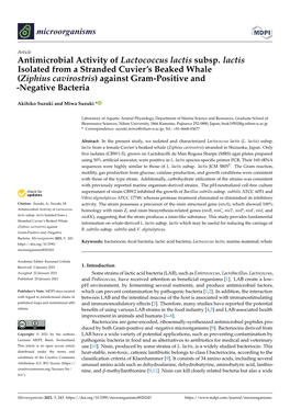 Antimicrobial Activity of Lactococcus Lactis Subsp. Lactis Isolated