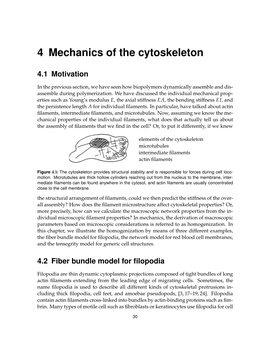 4 Mechanics of the Cytoskeleton