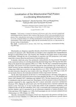 Localization of the Mitochondrial Ftsz Protein in a Dividing Mitochondrion Mitochondria Are Ubiquitous Organelles That Play Crit