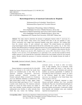 Bacteriological Survey of American Cockroaches in Hospitals