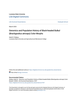 Genomics and Population History of Black-Headed Bulbul (Brachypodius Atriceps) Color Morphs