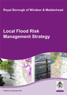 Local Flood Risk Management Strategy