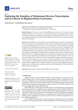 Exploring the Interplay of Telomerase Reverse Transcriptase and Β-Catenin in Hepatocellular Carcinoma