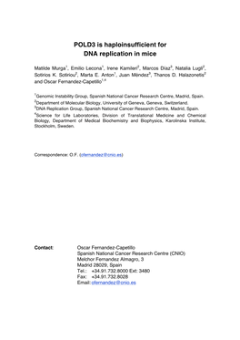 POLD3 Is Haploinsufficient for DNA Replication in Mice