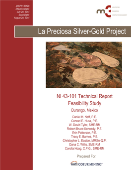 La Preciosa Silver-Gold Project