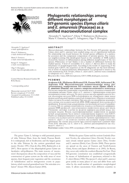 Phylogenetic Relationships Among Different Morphotypes of Sty-Genomic Species Elymus Ciliaris and E