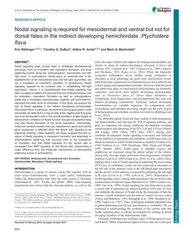 Nodal Signaling Is Required for Mesodermal and Ventral but Not For