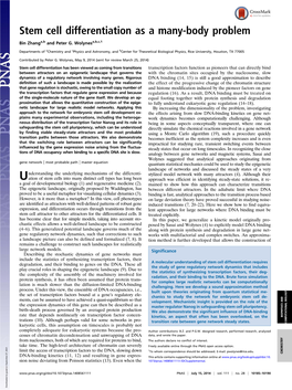 Stem Cell Differentiation As a Many-Body Problem