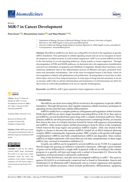 Mir-7 in Cancer Development