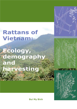 Rattans of Vietnam