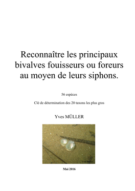 Reconnaître Les Principaux Bivalves Fouisseurs Ou Foreurs Au Moyen De Leurs Siphons