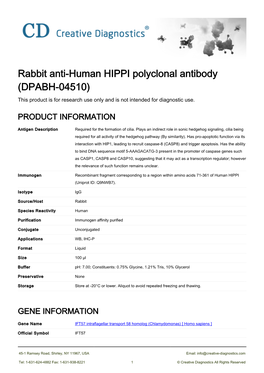 Rabbit Anti-Human HIPPI Polyclonal Antibody (DPABH-04510) This Product Is for Research Use Only and Is Not Intended for Diagnostic Use