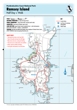 Ramsey Island Half Day + Walk