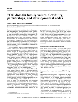 POU Domain Family Values: Flexibility, Partnerships, and Developmental Codes