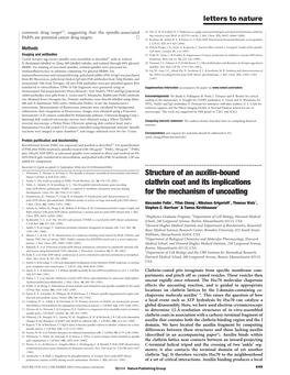 Structure of an Auxilin-Bound Clathrin Coat and Its Implications for The