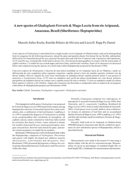A New Species of Gladioglanisferraris & Mago-Leccia from Rio Aripuanã
