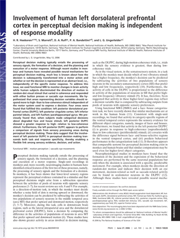 Involvement of Human Left Dorsolateral Prefrontal Cortex in Perceptual Decision Making Is Independent of Response Modality