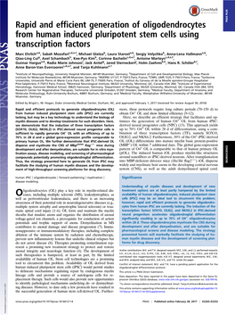 Rapid and Efficient Generation of Oligodendrocytes from Human