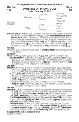 DARK BAY OR BROWN COLT Barn 28 Hip No