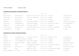 Campionato Mm Seconda Categoria Mantova