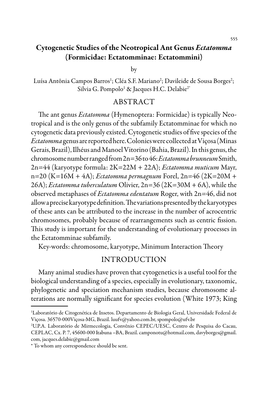 Cytogenetic Studies of the Neotropical Ant Genus Ectatomma (Formicidae: Ectatomminae: Ectatommini) by Luísa Antônia Campos Barros1; Cléa S.F