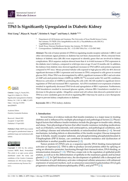 TP63 Is Significantly Upregulated in Diabetic Kidney