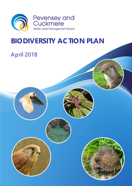 IDB Biodiversity Action Plan