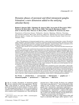 Dynamic Phases of Peroneal and Tibial Intraneural Ganglia Formation: a New Dimension Added to the Unifying Articular Theory