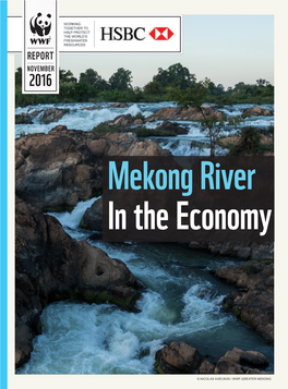 Mekong River in the Economy