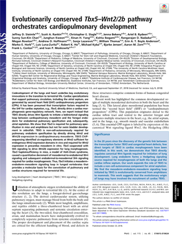 Evolutionarily Conserved Tbx5–Wnt2/2B Pathway Orchestrates Cardiopulmonary Development