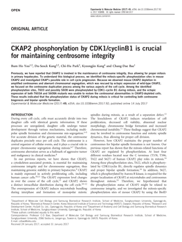 CKAP2 Phosphorylation by CDK1/Cyclinb1 Is Crucial for Maintaining Centrosome Integrity