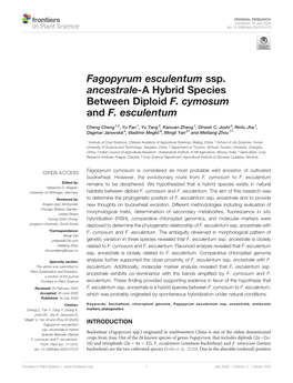 Fagopyrum Esculentum Ssp. Ancestrale-A Hybrid Species Between Diploid F