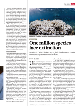 One Million Species Face Extinction