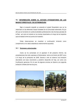 10.- Información Sobre El Estado Fitosanitario De Las Masas Forestales De Extremadura