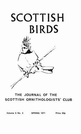 Scottish Birds