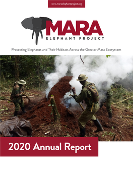 MEP Annual Report 2020